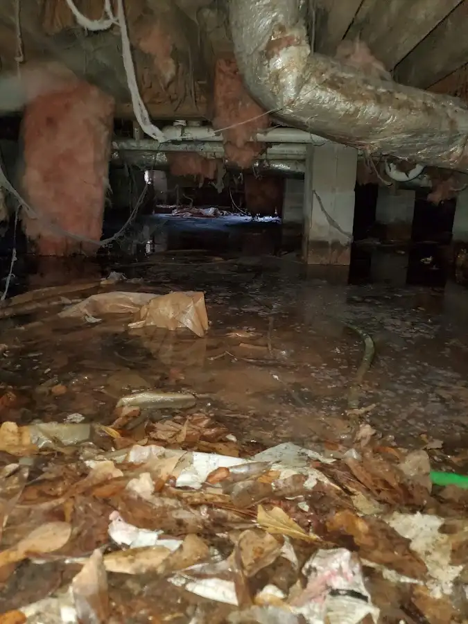Crawl space flood assessment for Leak Detection & Repair in Shiloh