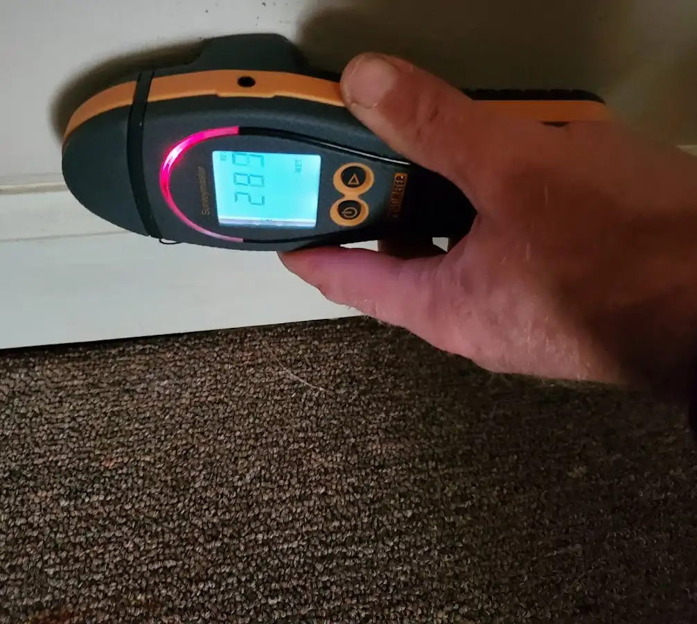 Moisture detection at baseboard during Mold Inspection & Testing in Shiloh